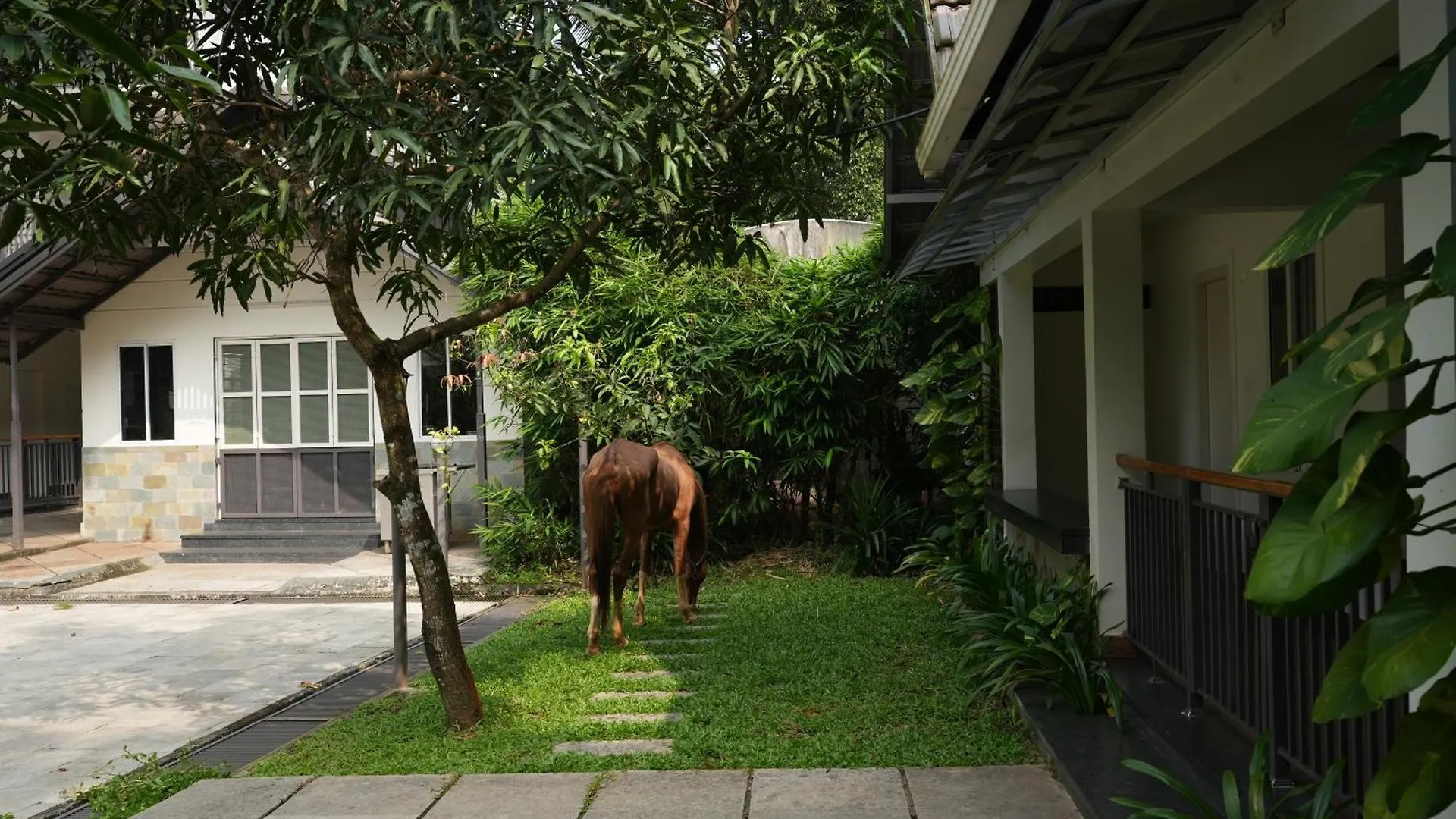 Royad Calicut Farm House - Premium Villa With Pool Inside A Farm India