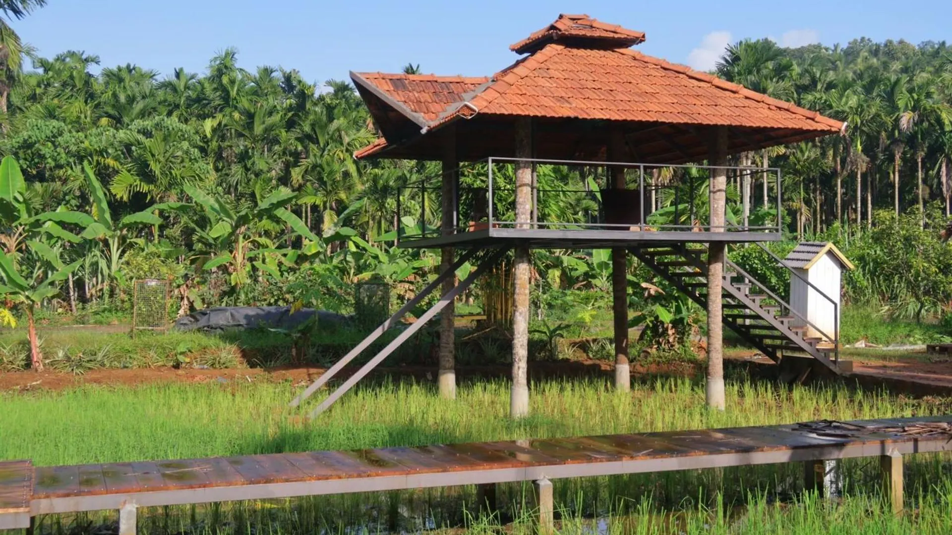 Royad Calicut Farm House - Premium Villa With Pool Inside A Farm India