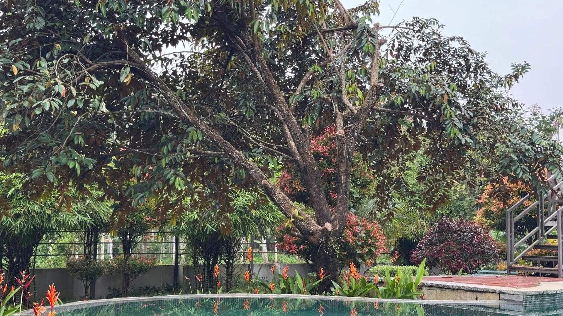 Royad Calicut Farm House - Premium Villa With Pool Inside A Farm  Kozhikode