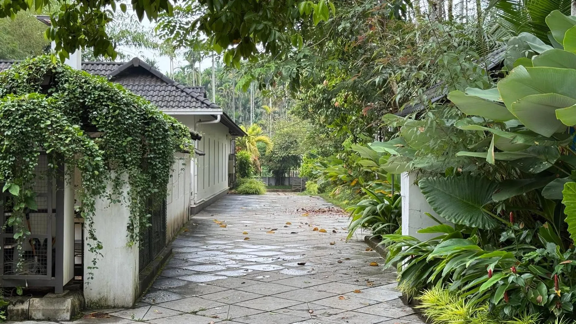 Royad Calicut Farm House - Premium Villa With Pool Inside A Farm